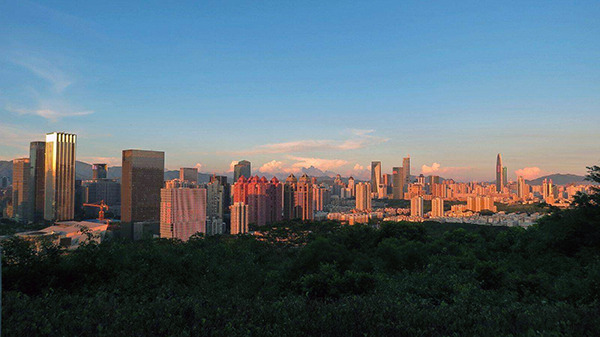 知识产权机构CRM客户管理软件的重要性和实施方法